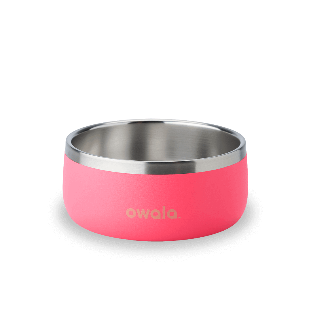 Pet Bowl (S4AWZ)